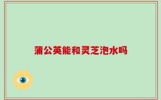 蒲公英能和灵芝泡水吗