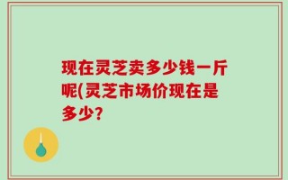 现在灵芝卖多少钱一斤呢(灵芝市场价现在是多少？