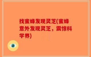 找蜜蜂发现灵芝(蜜蜂意外发现灵芝，震惊科学界)