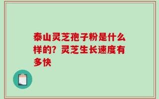 泰山灵芝孢子粉是什么样的？灵芝生长速度有多快