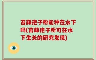 苔藓孢子粉能种在水下吗(苔藓孢子粉可在水下生长的研究发现)