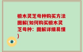 椴木灵芝母种购买方法图解(如何购买椴木灵芝母种：图解详细易懂)
