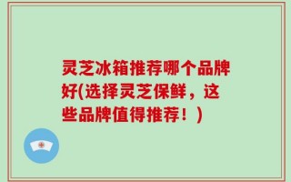 灵芝冰箱推荐哪个品牌好(选择灵芝保鲜，这些品牌值得推荐！)