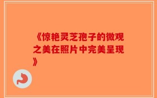 《惊艳灵芝孢子的微观之美在照片中完美呈现》