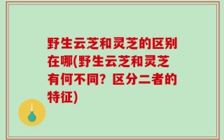 野生云芝和灵芝的区别在哪(野生云芝和灵芝有何不同？区分二者的特征)