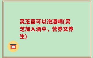 灵芝菌可以泡酒喝(灵芝加入酒中，营养又养生)