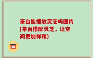 茶台能摆放灵芝吗图片(茶台搭配灵芝，让空间更加祥和)