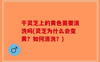干灵芝上的黄色需要清洗吗(灵芝为什么会变黄？如何清洗？)