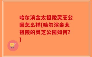 哈尔滨金太祖陵灵芝公园怎么样(哈尔滨金太祖陵的灵芝公园如何？)