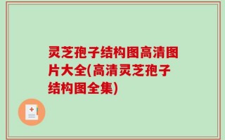 灵芝孢子结构图高清图片大全(高清灵芝孢子结构图全集)