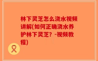 林下灵芝怎么浇水视频讲解(如何正确浇水养护林下灵芝？-视频教程)
