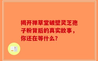 揭开禅草堂破壁灵芝孢子粉背后的真实故事，你还在等什么？