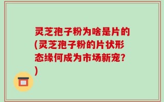 灵芝孢子粉为啥是片的(灵芝孢子粉的片状形态缘何成为市场新宠？)