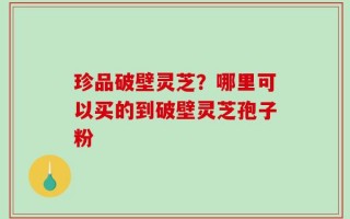珍品破壁灵芝？哪里可以买的到破壁灵芝孢子粉