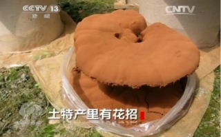 正宗的破壁灵芝孢子粉多少钱一斤？500一斤贵不贵