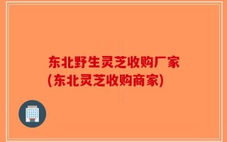 东北野生灵芝收购厂家(东北灵芝收购商家)
