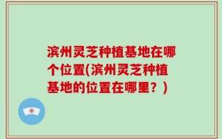 滨州灵芝种植基地在哪个位置(滨州灵芝种植基地的位置在哪里？)