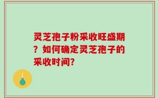 灵芝孢子粉采收旺盛期？如何确定灵芝孢子的采收时间？