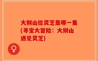大别山捡灵芝是哪一集(寻宝大冒险：大别山遇见灵芝)