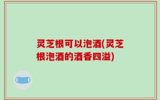 灵芝根可以泡酒(灵芝根泡酒的酒香四溢)