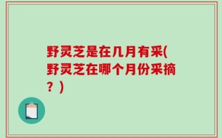 野灵芝是在几月有采(野灵芝在哪个月份采摘？)