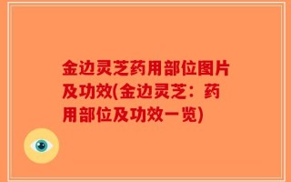 金边灵芝药用部位图片及功效(金边灵芝：药用部位及功效一览)