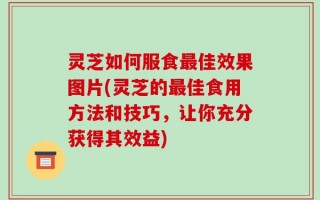 灵芝如何服食最佳效果图片(灵芝的最佳食用方法和技巧，让你充分获得其效益)