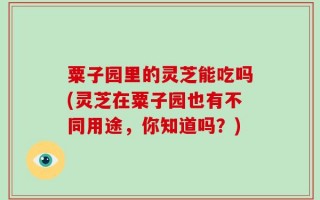 粟子园里的灵芝能吃吗(灵芝在粟子园也有不同用途，你知道吗？)