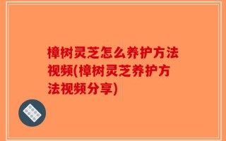樟树灵芝怎么养护方法视频(樟树灵芝养护方法视频分享)