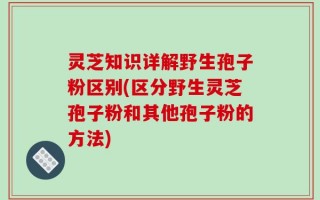灵芝知识详解野生孢子粉区别(区分野生灵芝孢子粉和其他孢子粉的方法)