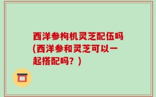 西洋参枸机灵芝配伍吗(西洋参和灵芝可以一起搭配吗？)