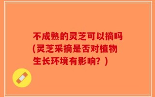 不成熟的灵芝可以摘吗(灵芝采摘是否对植物生长环境有影响？)