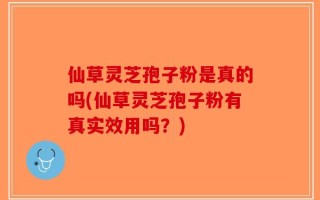 仙草灵芝孢子粉是真的吗(仙草灵芝孢子粉有真实效用吗？)