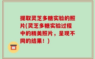 提取灵芝多糖实验的照片(灵芝多糖实验过程中的精美照片，呈现不同的结果！)