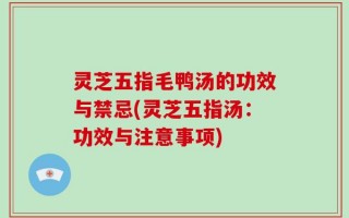 灵芝五指毛鸭汤的功效与禁忌(灵芝五指汤：功效与注意事项)
