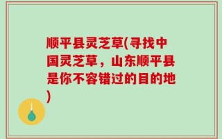 顺平县灵芝草(寻找中国灵芝草，山东顺平县是你不容错过的目的地)