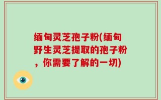 缅甸灵芝孢子粉(缅甸野生灵芝提取的孢子粉，你需要了解的一切)