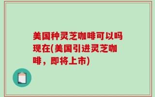 美国种灵芝咖啡可以吗现在(美国引进灵芝咖啡，即将上市)