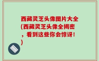 西藏灵芝头像图片大全(西藏灵芝头像全揭密，看到这些你会惊讶！)