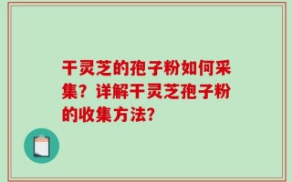 干灵芝的孢子粉如何采集？详解干灵芝孢子粉的收集方法？
