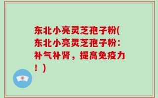 东北小亮灵芝孢子粉(东北小亮灵芝孢子粉：补气补肾，提高免疫力！)