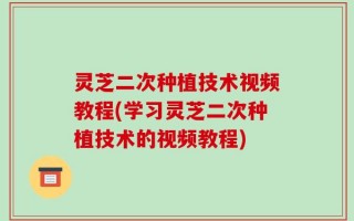 灵芝二次种植技术视频教程(学习灵芝二次种植技术的视频教程)