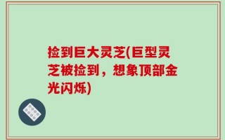 捡到巨大灵芝(巨型灵芝被捡到，想象顶部金光闪烁)