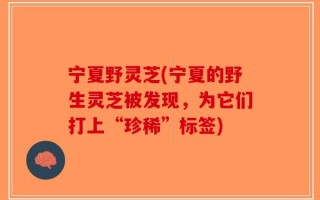宁夏野灵芝(宁夏的野生灵芝被发现，为它们打上“珍稀”标签)