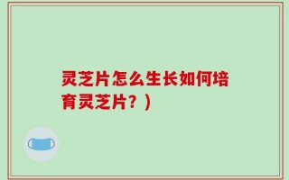 灵芝片怎么生长如何培育灵芝片？)