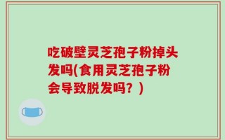 吃破壁灵芝孢子粉掉头发吗(食用灵芝孢子粉会导致脱发吗？)