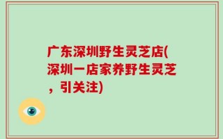 广东深圳野生灵芝店(深圳一店家养野生灵芝，引关注)