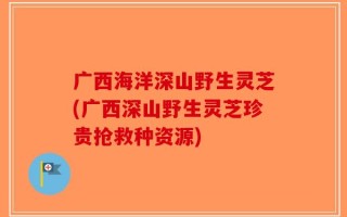 广西海洋深山野生灵芝(广西深山野生灵芝珍贵抢救种资源)
