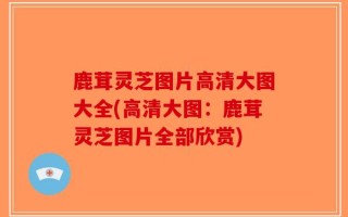 鹿茸灵芝图片高清大图大全(高清大图：鹿茸灵芝图片全部欣赏)