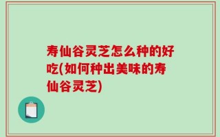 寿仙谷灵芝怎么种的好吃(如何种出美味的寿仙谷灵芝)